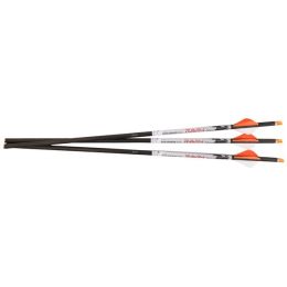 Ravin 500gr .001 Lighted Arrow 3pk